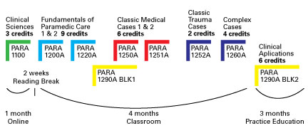 PCP-Program-Full-time-Delivery-Model