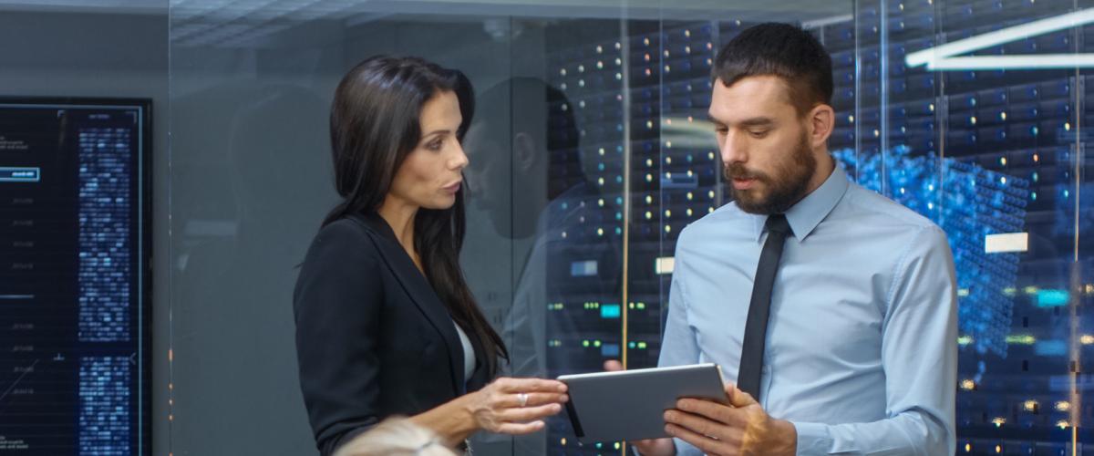 People analyzing data