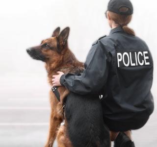 JIBC Law Enforcement & Investigation Area of Study