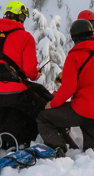 SAR image