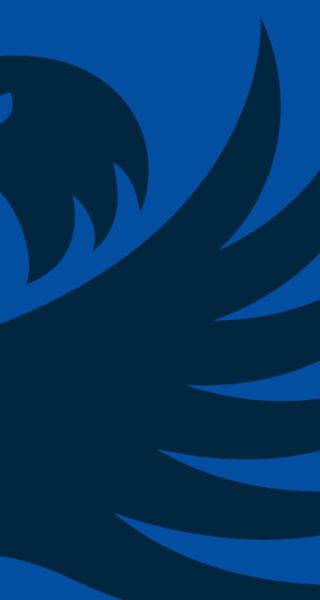 Blue Griffin Banner