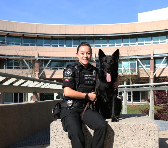 Courtney Lee has always wanted to work with dogs. After graduating from JIBC’s Law Enforcement Studies Diploma program, she was hired by Securiguard as a dog handler for Diesel, who specializes in explosives detection, at YVR.