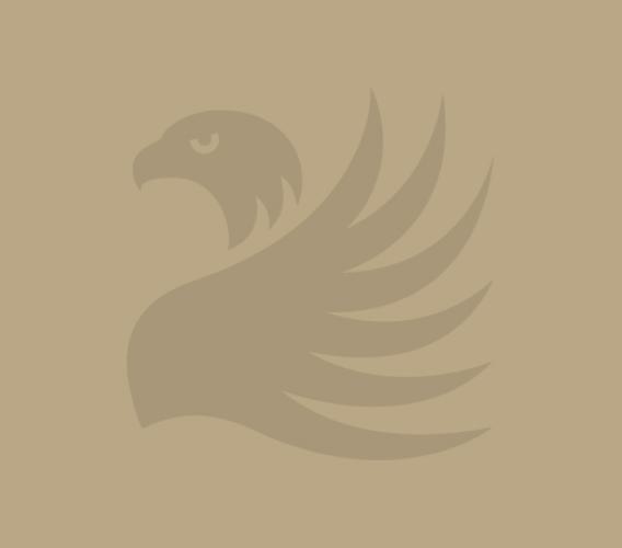 Grey Griffin Placeholder