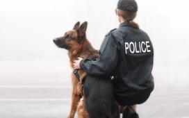 JIBC Law Enforcement & Investigation Area of Study