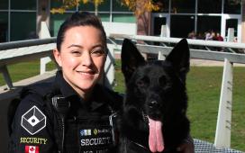 JIBC Security Officer Career Path
