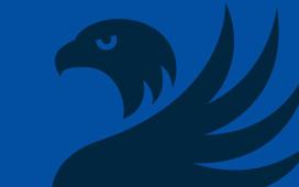 Blue Griffin Banner Small