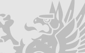 Grey Griffin Banner