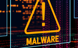 Micro-credential in Malware Detection & Protection Basics