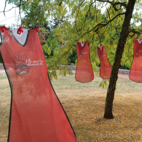 red dress hanging on tree