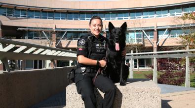 Courtney Lee has always wanted to work with dogs. After graduating from JIBC’s Law Enforcement Studies Diploma program, she was hired by Securiguard as a dog handler for Diesel, who specializes in explosives detection, at YVR. 