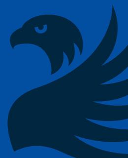 Blue Griffin Banner