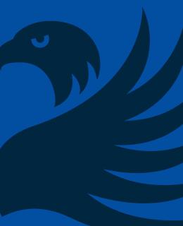 Blue Griffin Banner