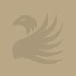 Grey Griffin Placeholder