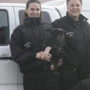 Animal Protection Officers Banner