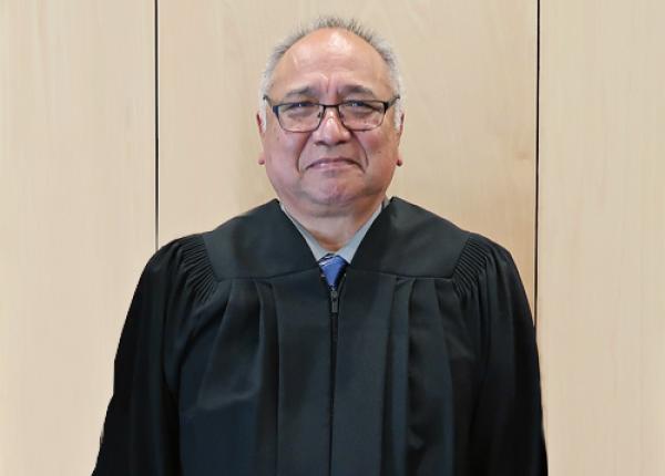 The Honourable Steven Point